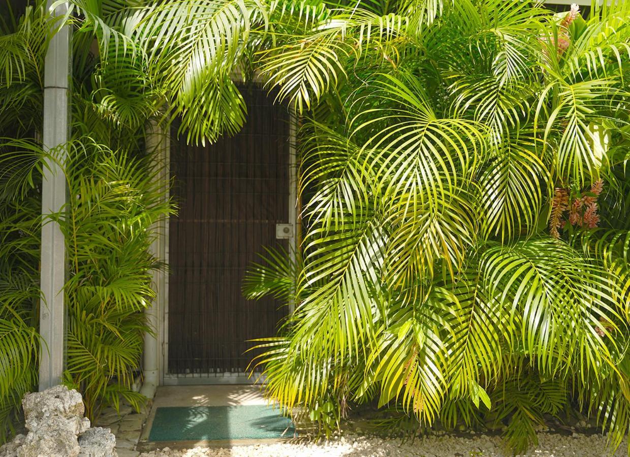 Apartamentos Y Studios Brisas Del Mar Santa Teresa Playa Santa Teresa  ภายนอก รูปภาพ